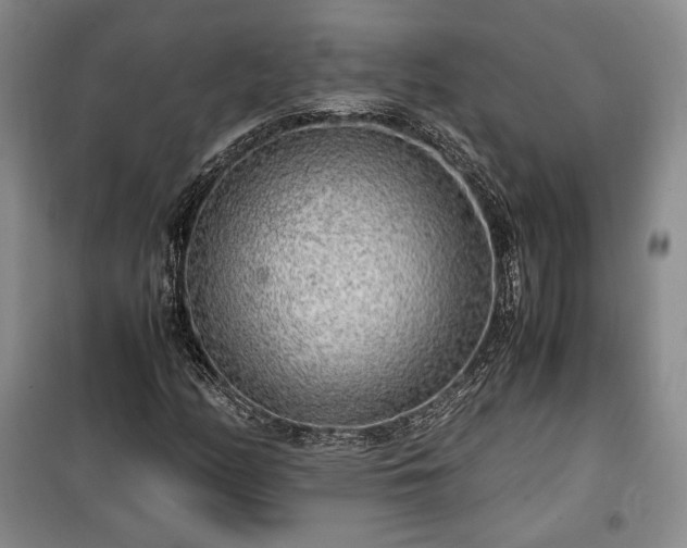 X0000100351158200806130946