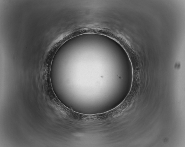 X0000100351159200806130946