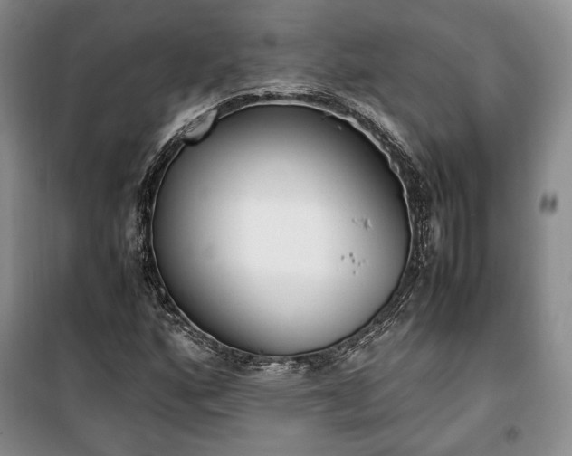 X0000100351160200806130946