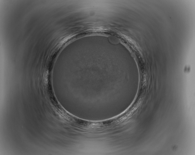 X0000100351161200806130946