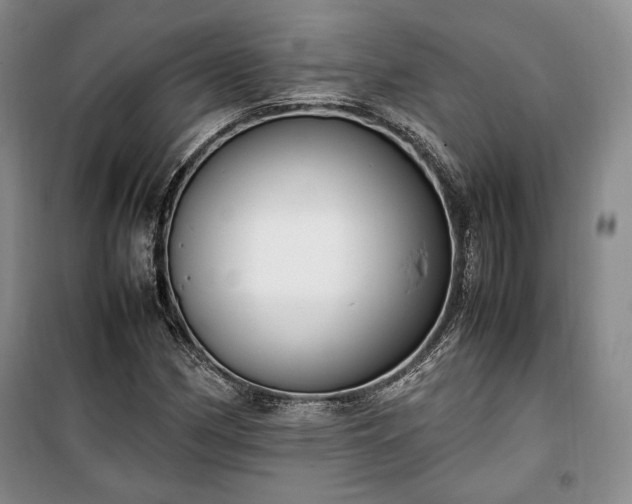 X0000100351162200806130945