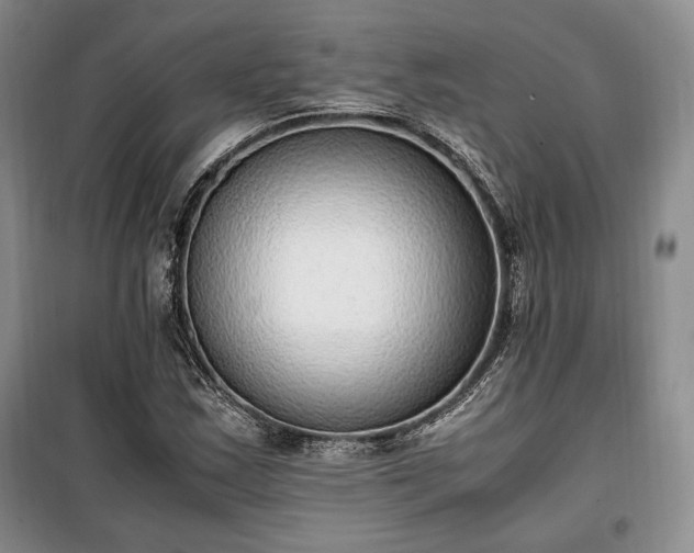 X0000100351163200806130945