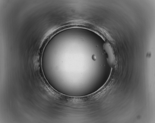 X0000100351164200806130945