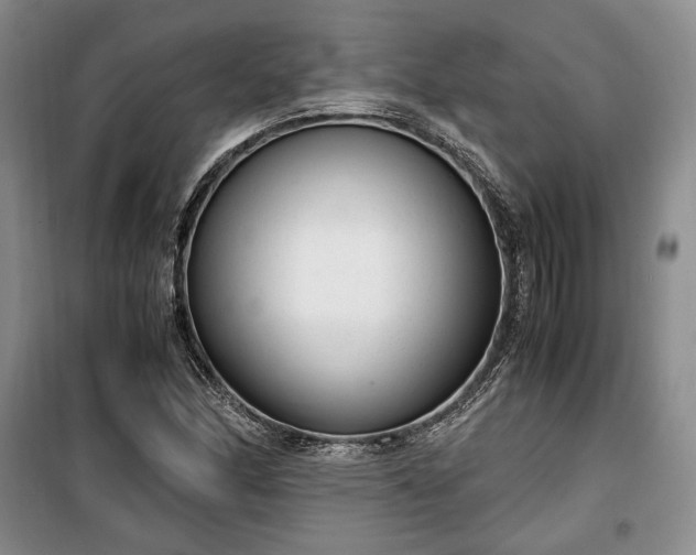 X0000100351166200806130945