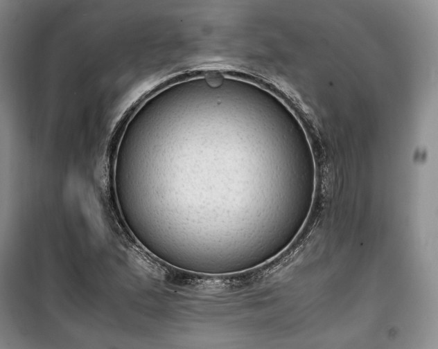 X0000100351167200806130945