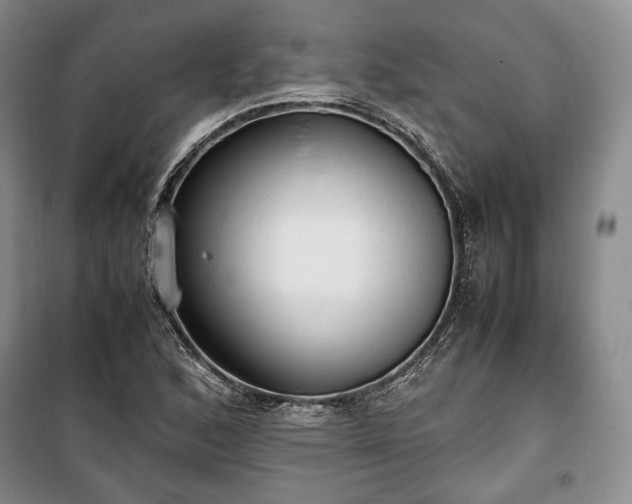 X0000100351168200806130945