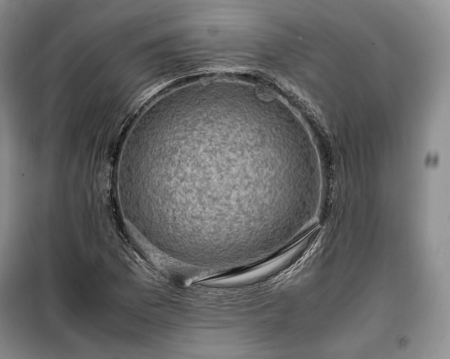 X0000100351169200806130945