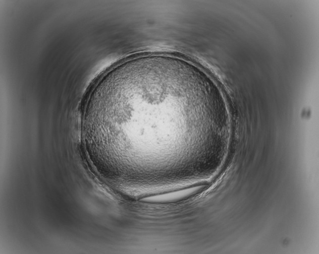 X0000100351171200806130945