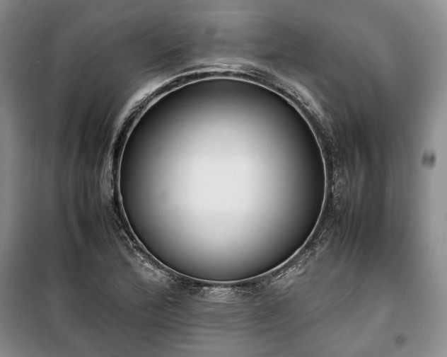 X0000100351172200806130945