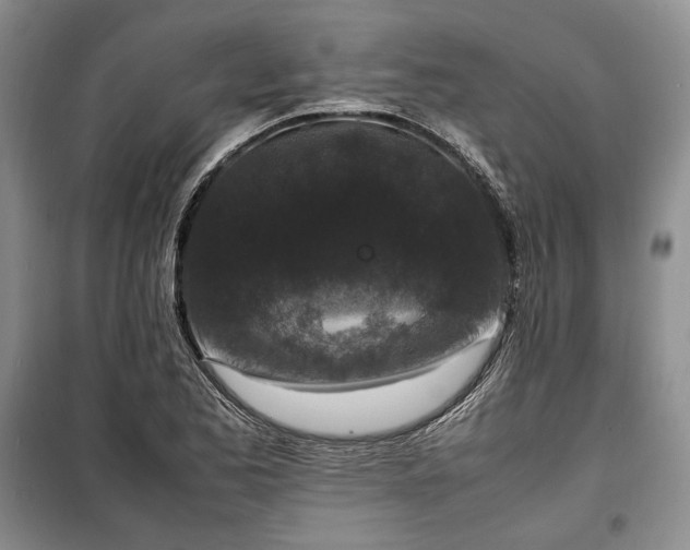 X0000100351173200806130945