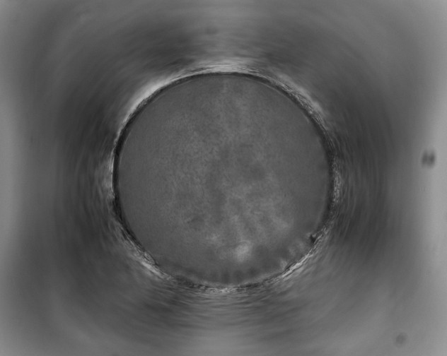 X0000100351174200806130945