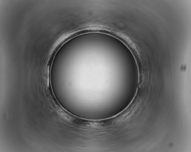 X0000100351175200806130945