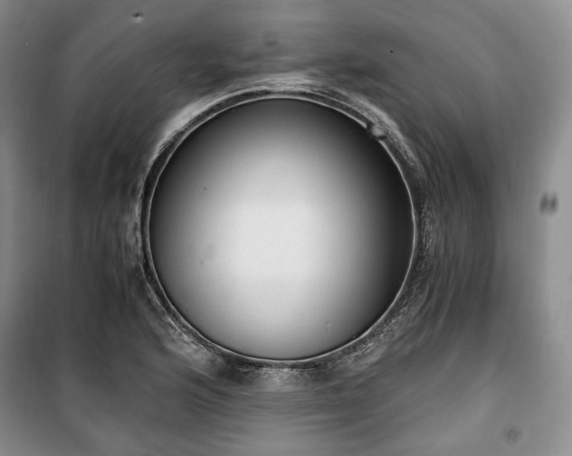 X0000100351176200806130945
