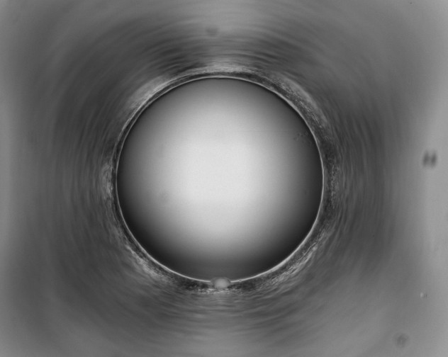 X0000100351177200806130945