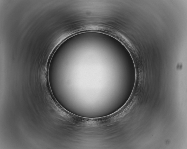 X0000100351178200806130945