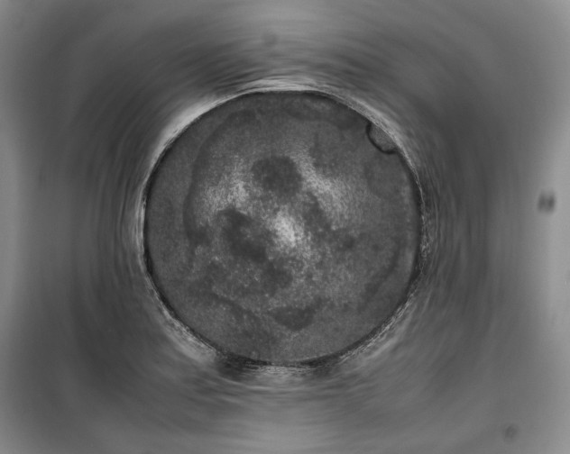 X0000100351179200806130945