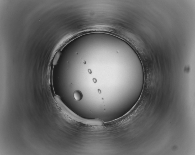 X0000100351180200806130945