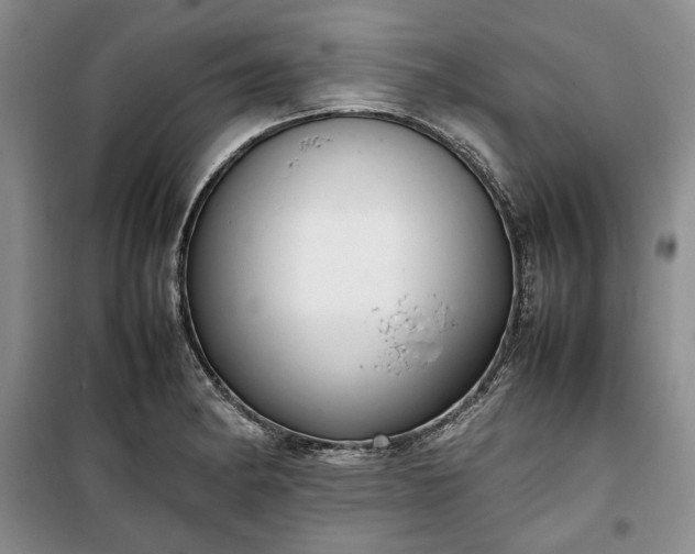 X0000100351182200806130945