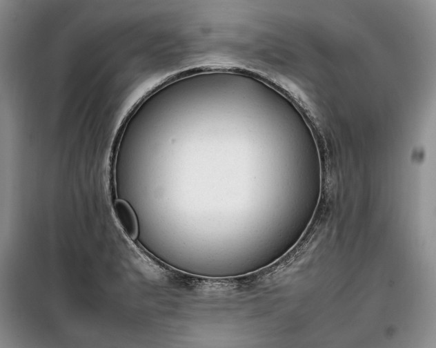 X0000100351183200806130945