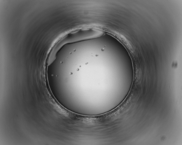 X0000100351184200806130945