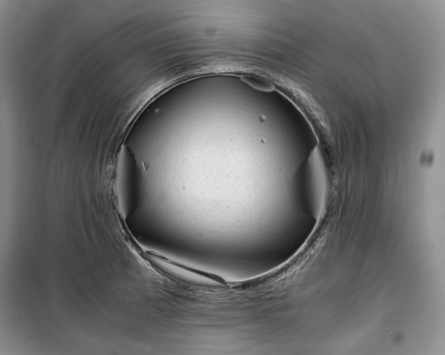 X0000100351185200806130945
