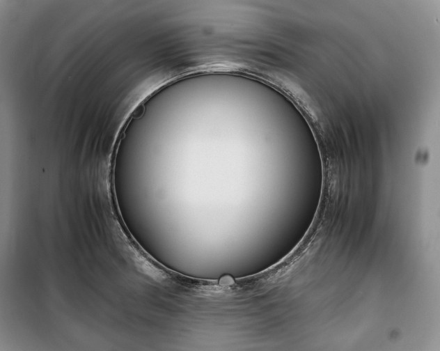 X0000100351186200806130945