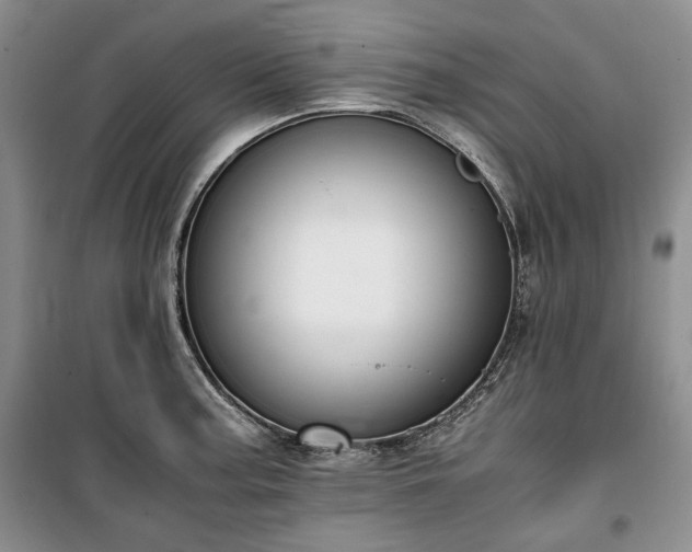 X0000100351187200806130945