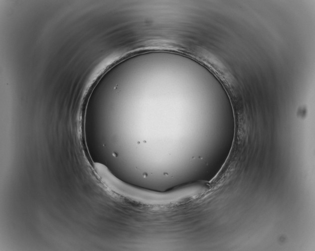 X0000100351188200806130945