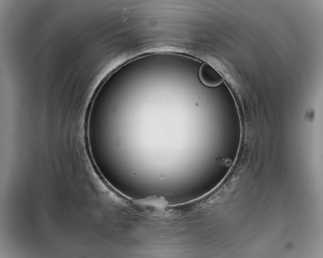 X0000100351189200806130945