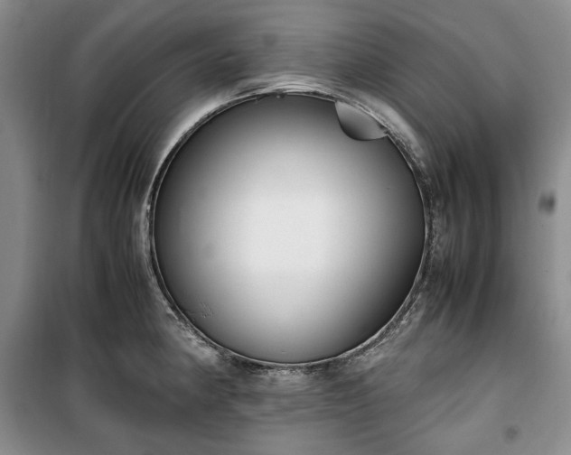 X0000100351190200806130945