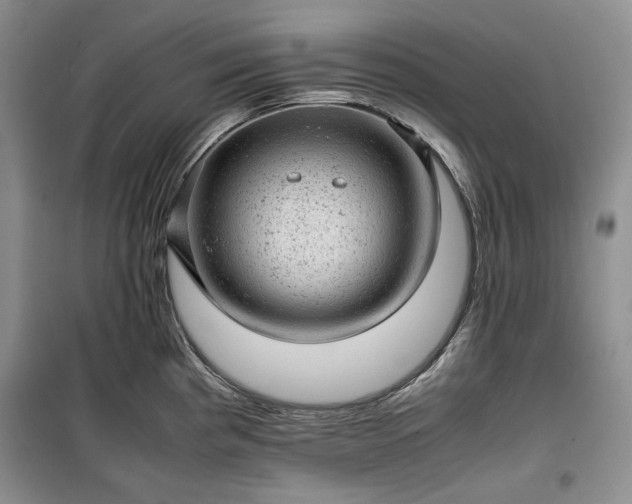 X0000100351193200806130945