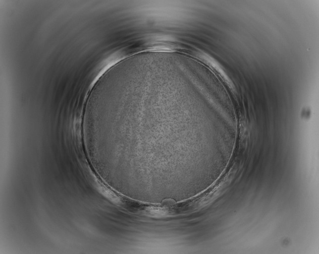X0000100351194200806130945