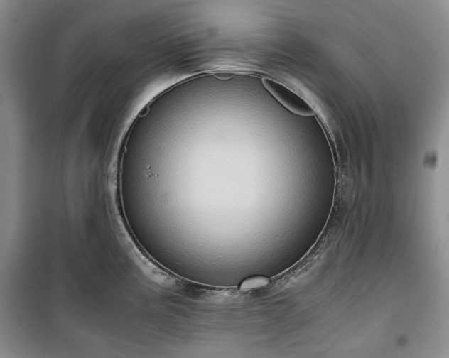 X0000100351195200806130945
