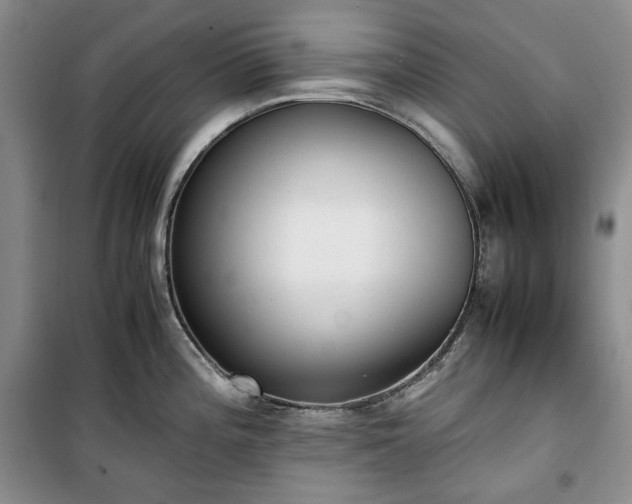 X0000100351196200806130945