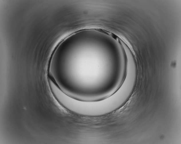 X0000100351197200806130945