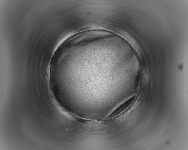 X0000100351198200806130945