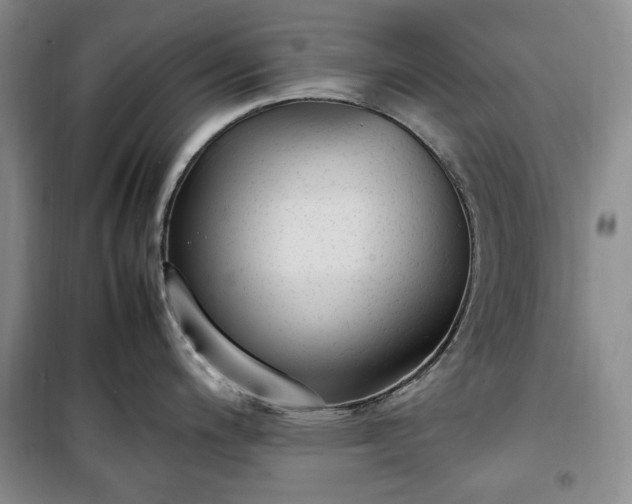 X0000100351200200806130945