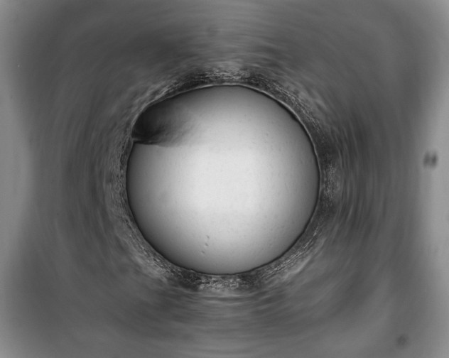 X0000100351201200806130944
