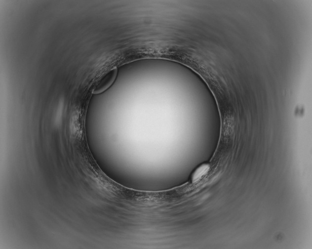X0000100351202200806130944