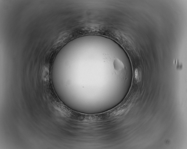 X0000100351203200806130944