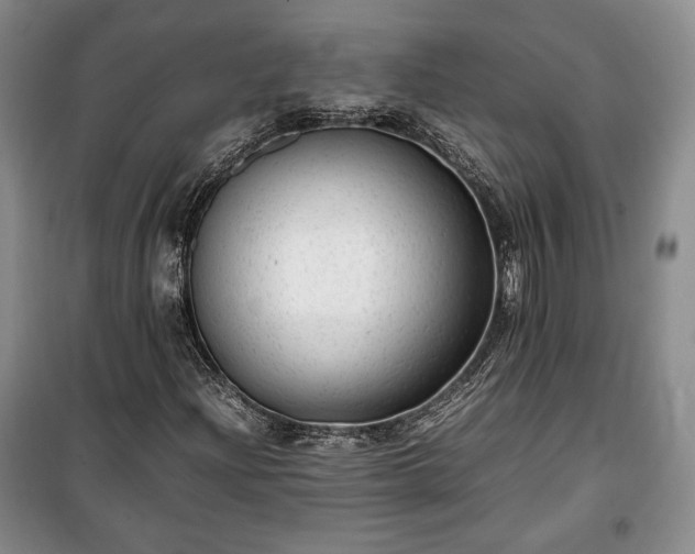 X0000100351204200806130944