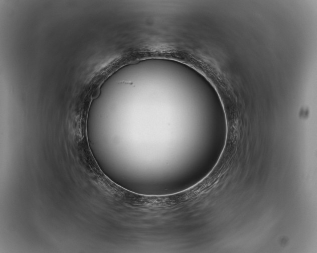 X0000100351205200806130944