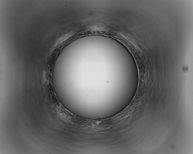 X0000100351207200806130944