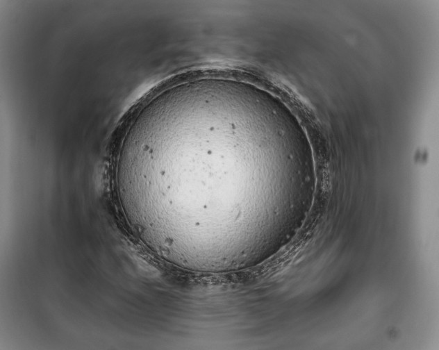 X0000100351208200806130944