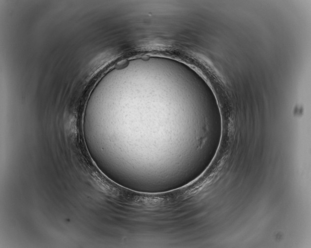 X0000100351209200806130944