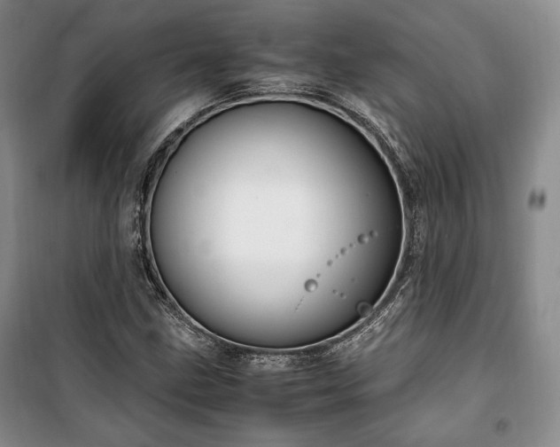X0000100351211200806130944