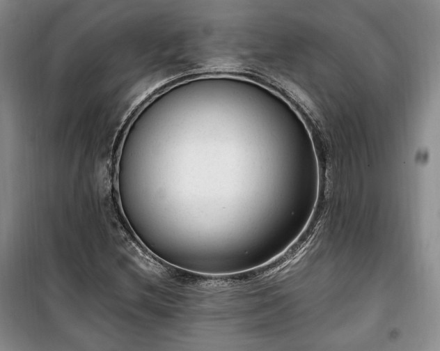 X0000100351212200806130944