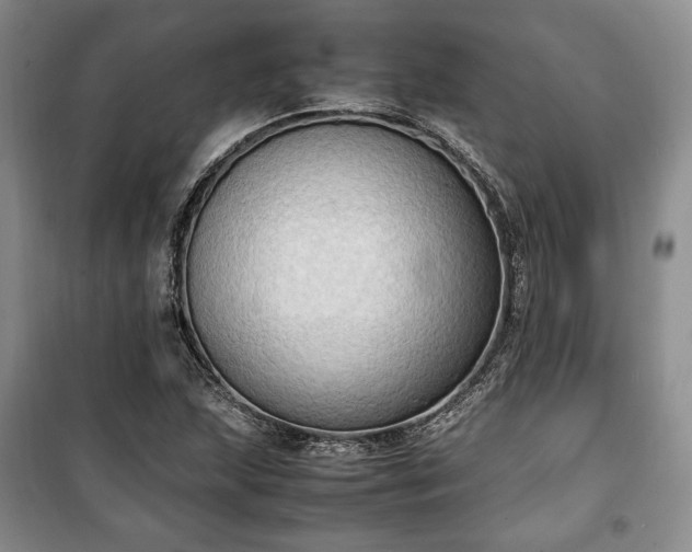 X0000100351215200806130945