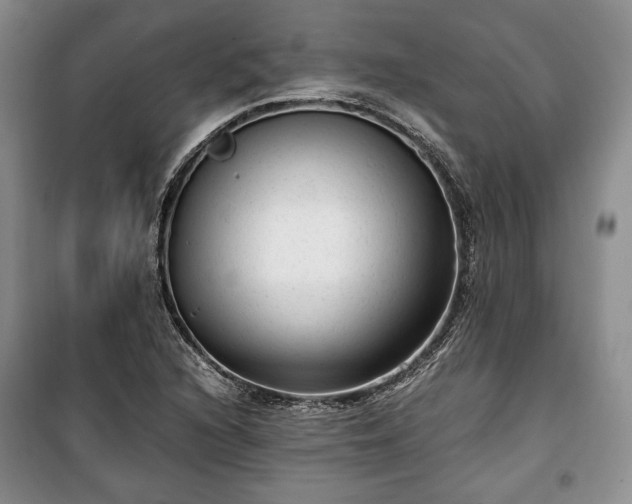 X0000100351216200806130945