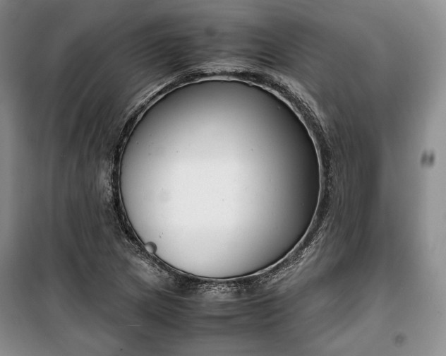 X0000100351217200806130945